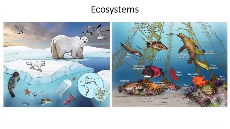 Ecosystems