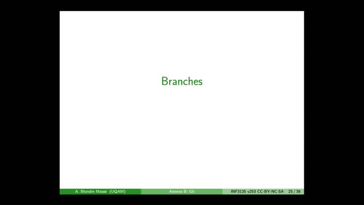 B3-Branches