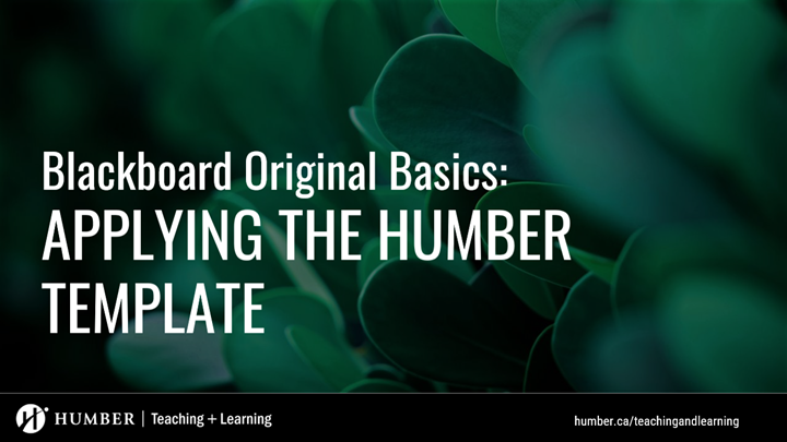 Learn Humber Applying the Humber Template to your Blackboard Original Course